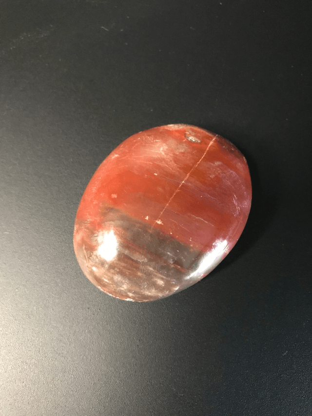 BOIS FOSSILISE - Galet 2 [Madagascar]