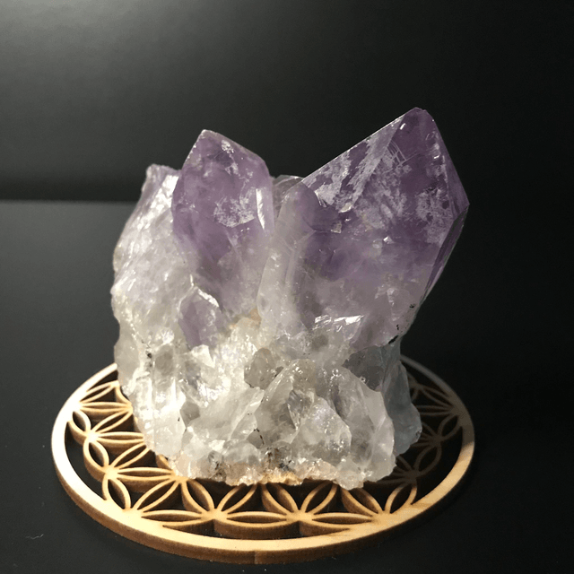 AMETHYSTE JACARANDA - CLUSTER [ ZAMBIE / Afrique Australe]