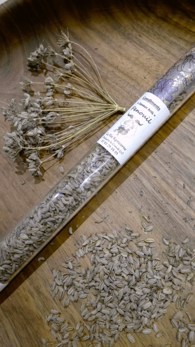 GRAINES DE PLANTES SAUVAGES de Fenouil [BIEN-ETRE Culinaire] Tube 8g