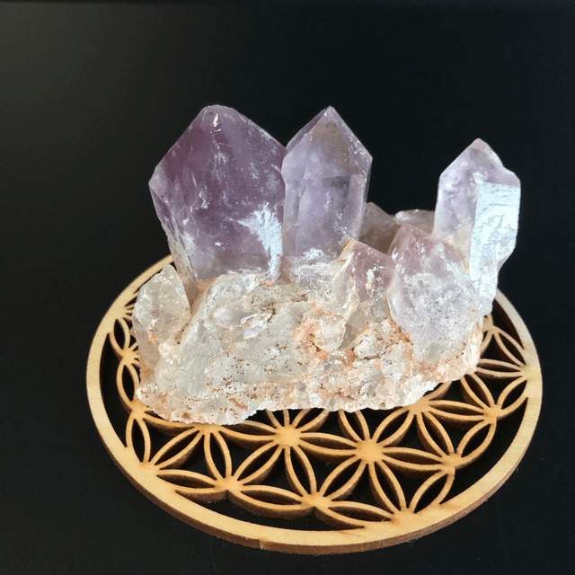 AMETHYSTE JACARANDA - CLUSTER [ ZAMBIE / Afrique Australe]
