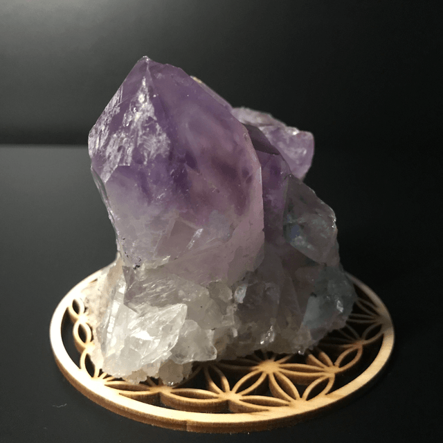AMETHYSTE JACARANDA - CLUSTER [ ZAMBIE / Afrique Australe]