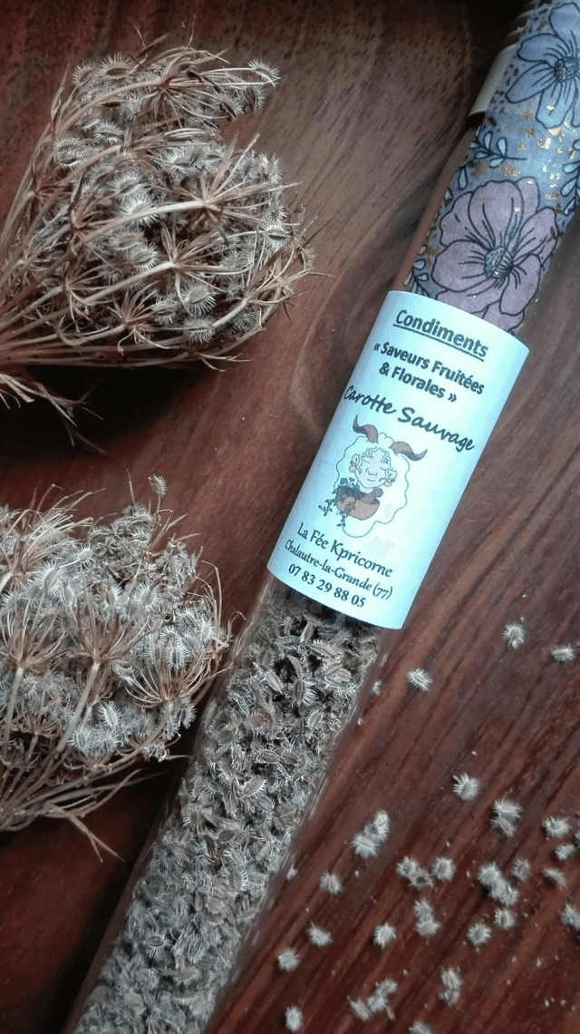 GRAINES DE PLANTES SAUVAGES de Carottes Sauvages [BIEN-ETRE Culinaire] Tube 3g