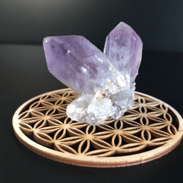 AMETHYSTE JACARANDA - CLUSTER [ ZAMBIE / Afrique Australe]