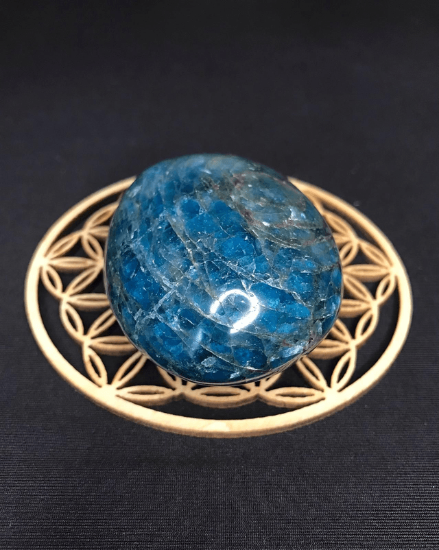 APATITE BLEUE - Galet 3 [Madagascar]