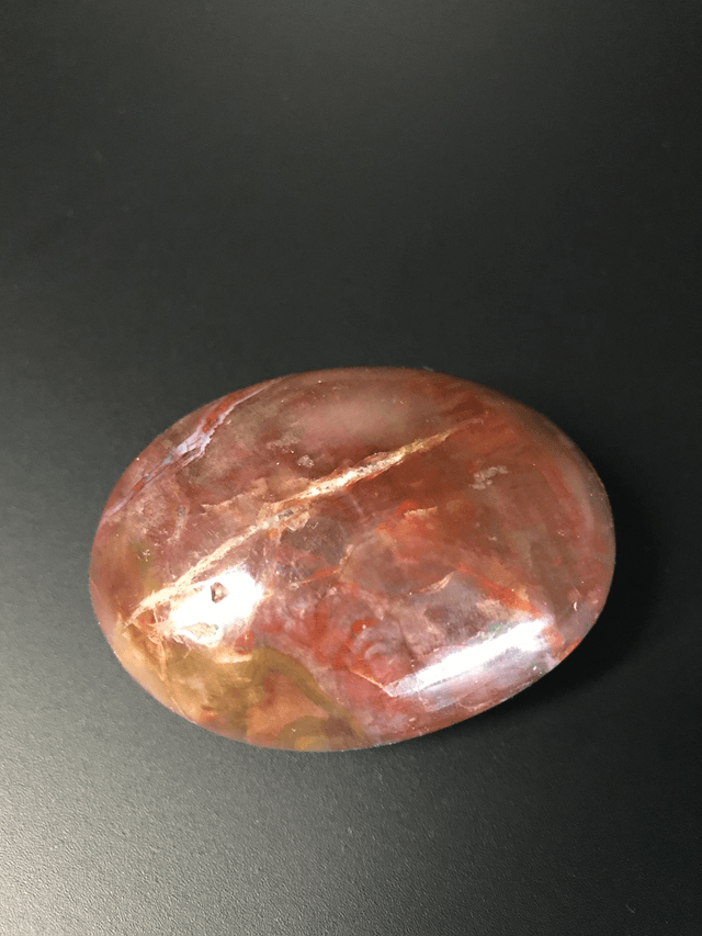 BOIS FOSSILISE - Galet 1 [Madagascar]