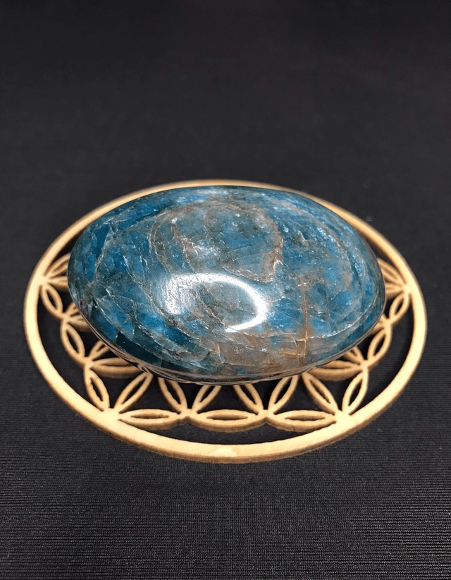 APATITE BLEUE - Galet 3 [Madagascar]