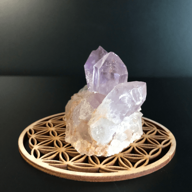 AMETHYSTE JACARANDA - CLUSTER [ ZAMBIE / Afrique Australe]