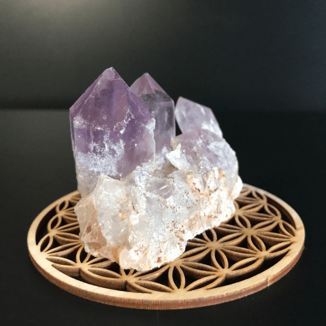 AMETHYSTE JACARANDA - CLUSTER [ ZAMBIE / Afrique Australe]