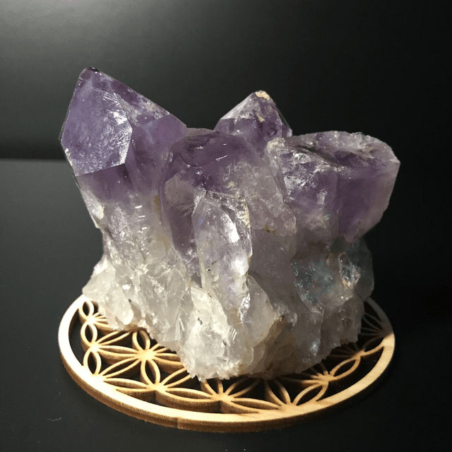 AMETHYSTE JACARANDA - CLUSTER [ ZAMBIE / Afrique Australe]