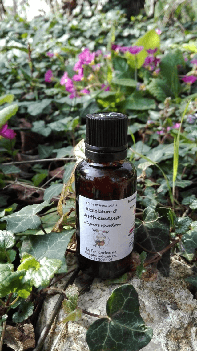 MACERAT ALCOOLIQUE d'Arthemesia & Cynorrhodon [BIEN-ETRE Hivernal] 30ml