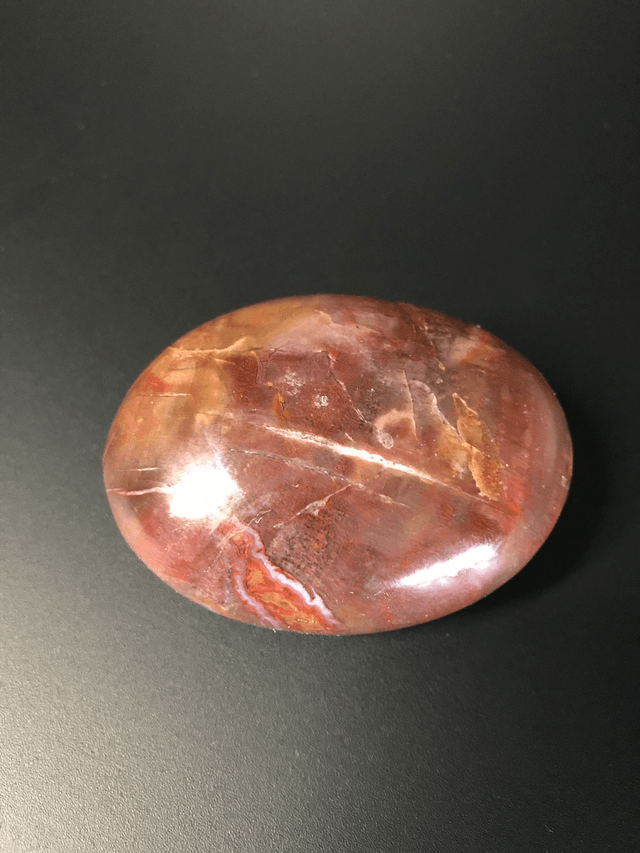 BOIS FOSSILISE - Galet 1 [Madagascar]