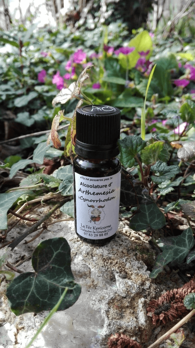 MACERAT ALCOOLIQUE d'Arthemesia & Cynorrhodon [BIEN-ETRE Hivernal] 10ml