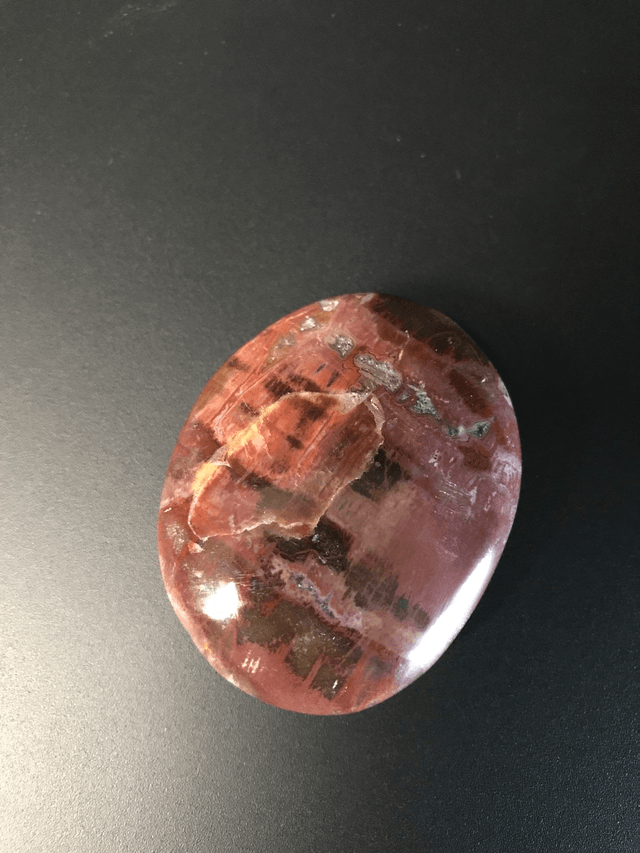 BOIS FOSSILISE - Galet 3 [Madagascar]