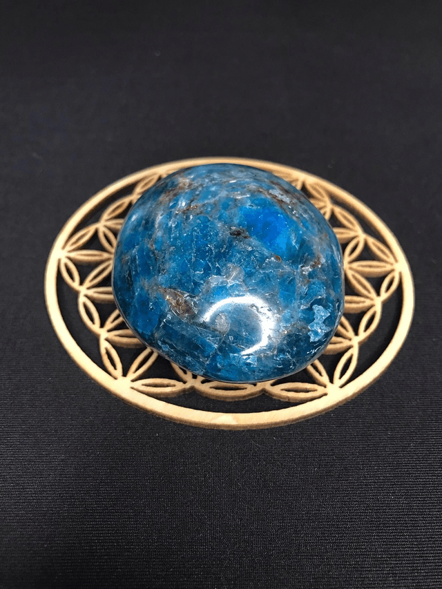 APATITE BLEUE - Galet 2 [Madagascar]