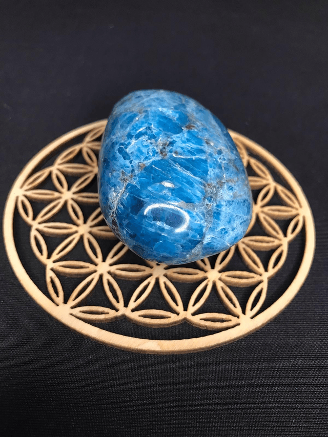 APATITE BLEUE - Galet 1 [Madagascar]