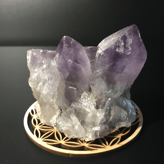 AMETHYSTE JACARANDA - CLUSTER [ ZAMBIE / Afrique Australe]